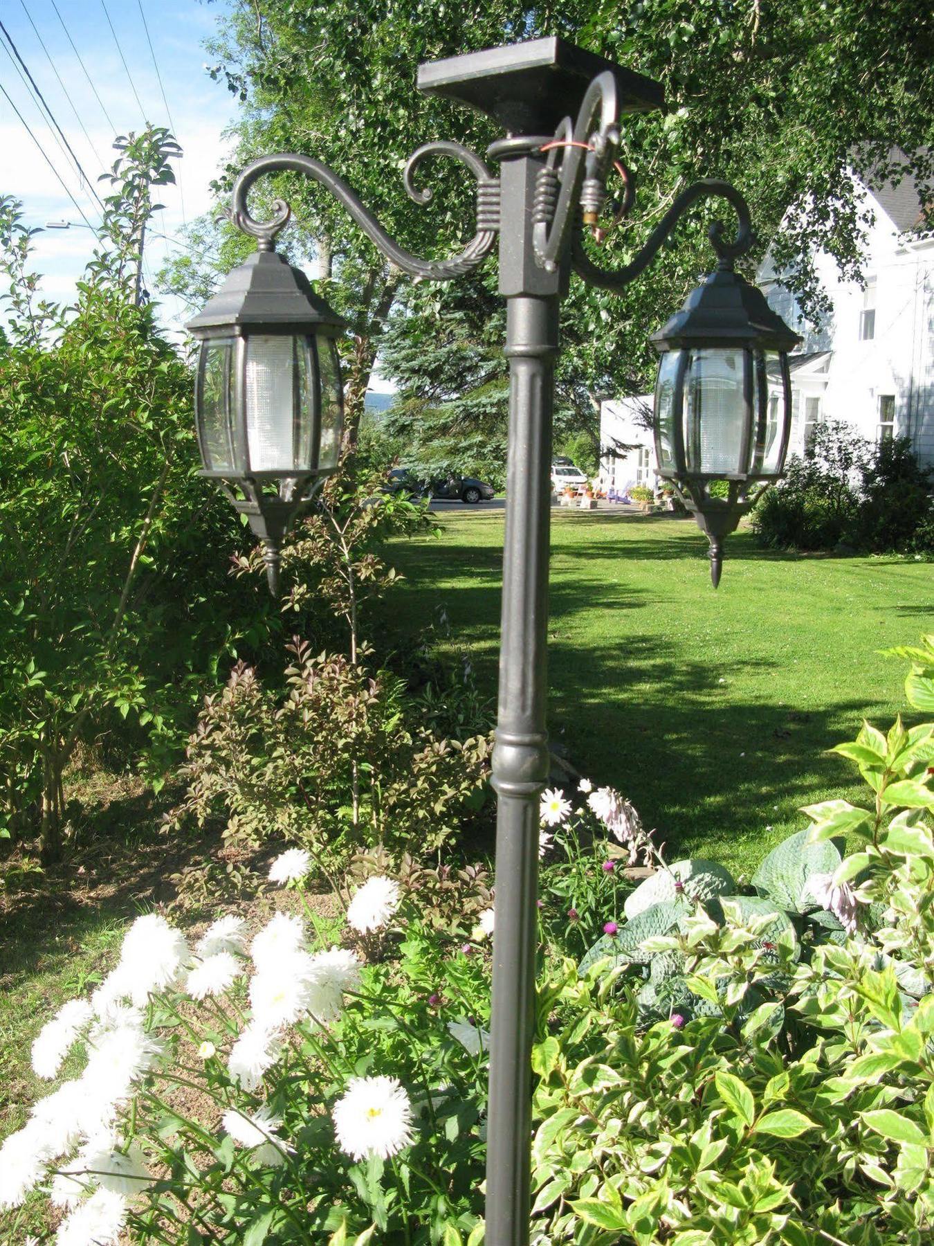 Dragonfly Inn Annapolis Royal Zewnętrze zdjęcie